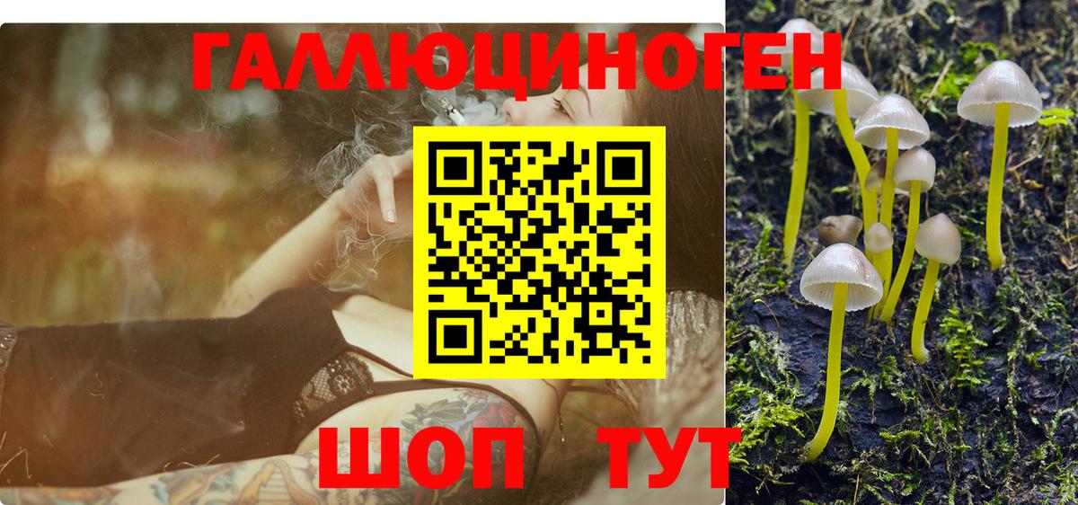 Псилоцибиновые грибы мицелий Оренбург