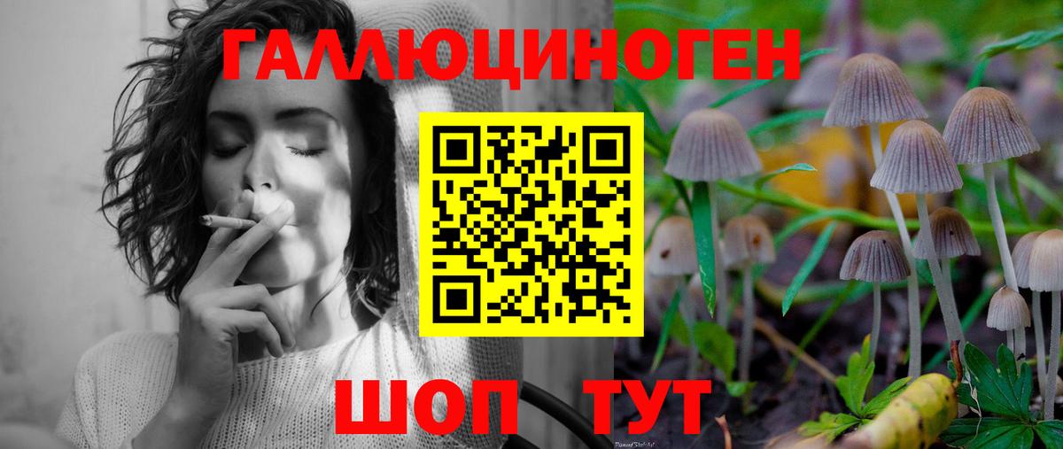 Псилоцибиновые грибы Psilocybine cubensis  Галлюциногенные грибы MAGIC MUSHROOMS  Оренбург  Вход с VPN 